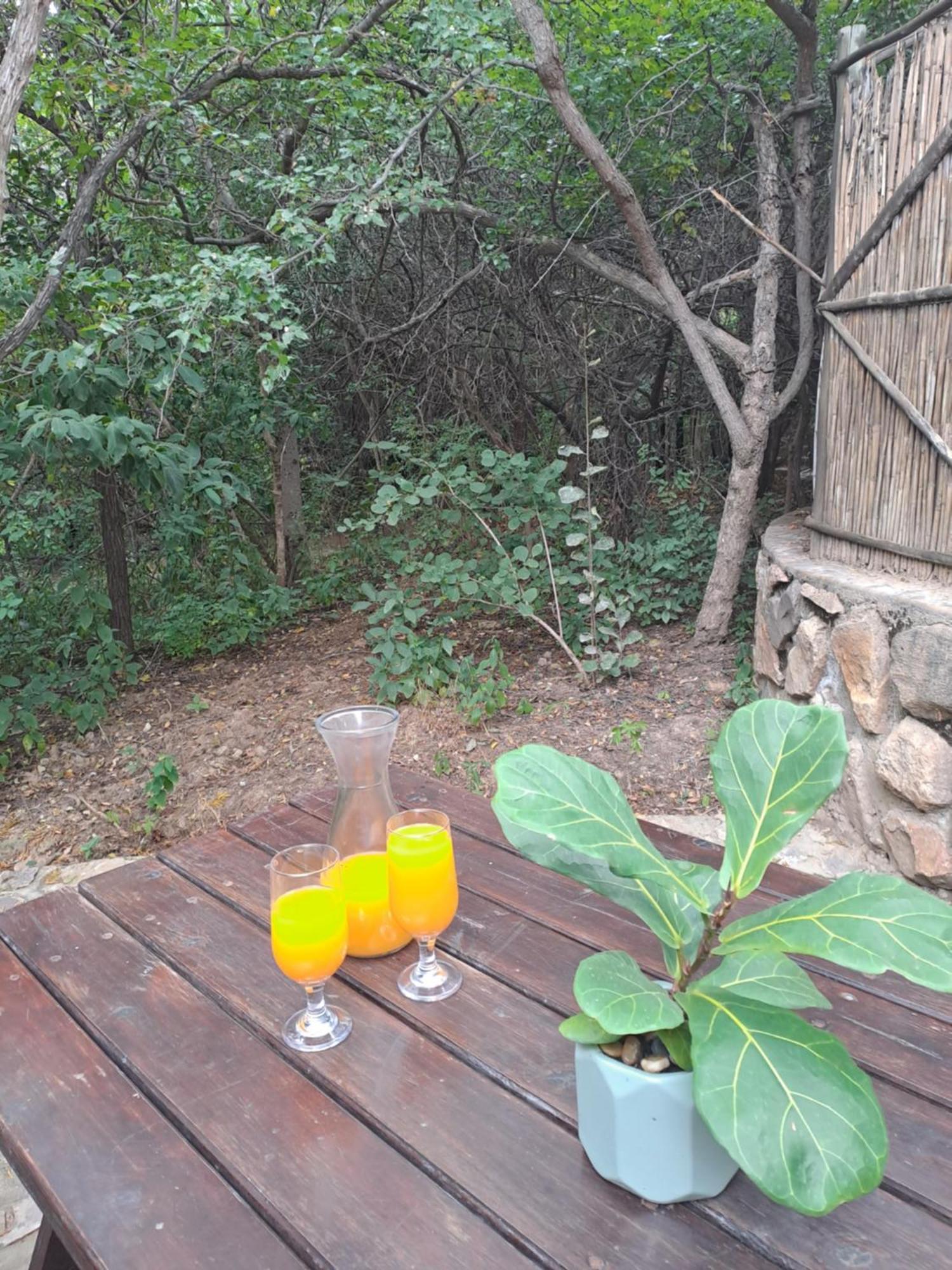 Little Bush Lodge 호에드스프뤼트 외부 사진
