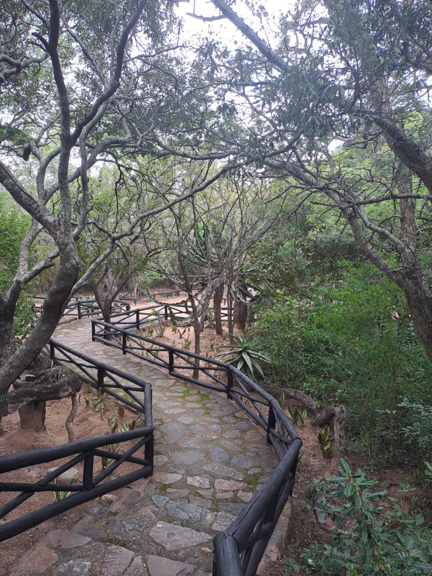 Little Bush Lodge 호에드스프뤼트 외부 사진